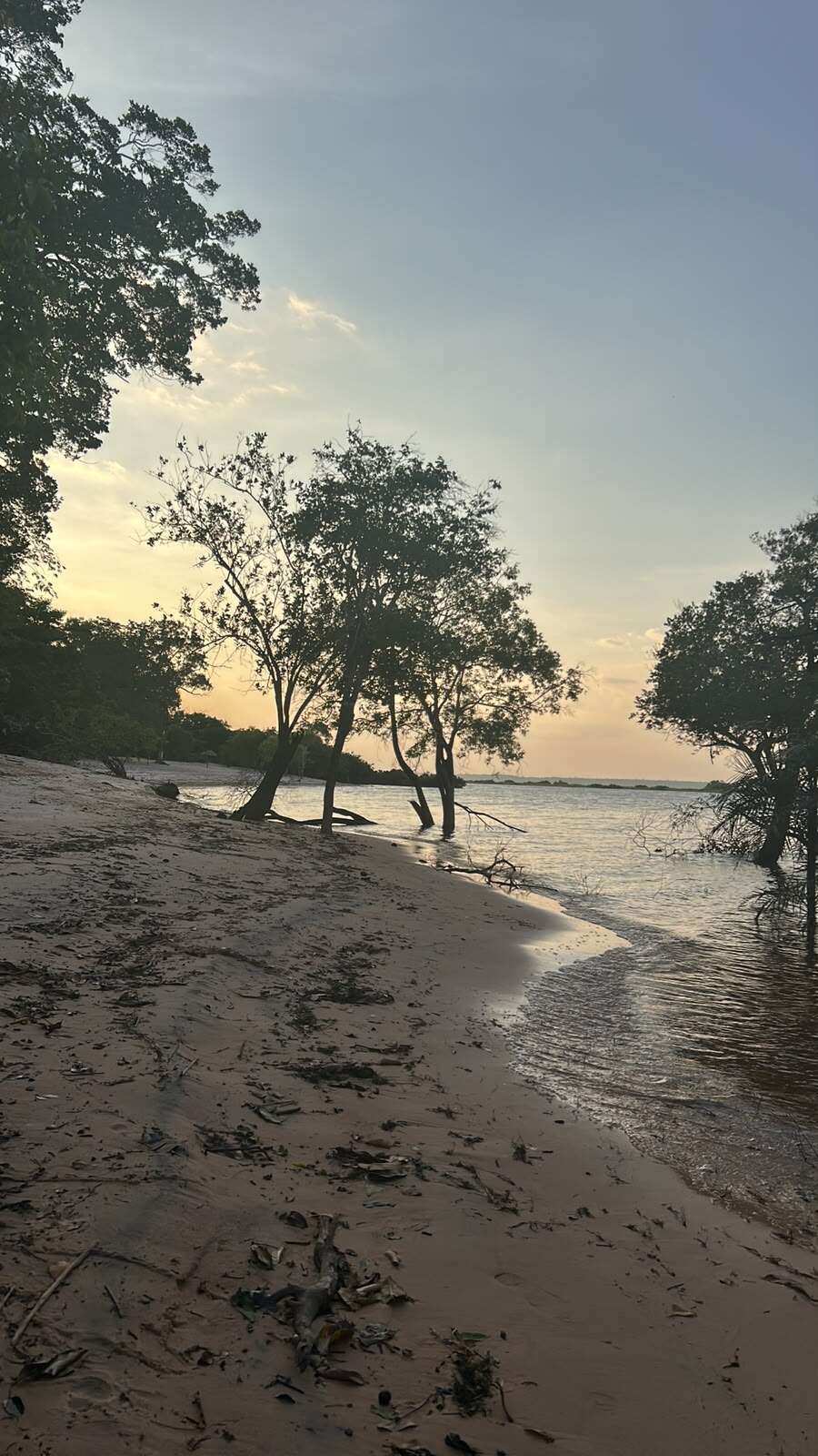 Chacaras 20 X 50 Na Praia do Satuario km 19